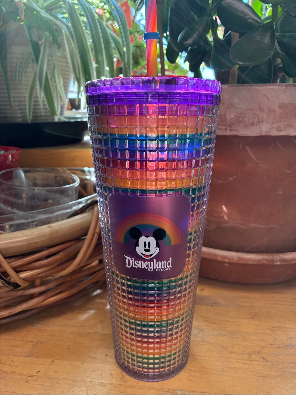 Disney Parks Starbucks Pride Tumbler Rainbow Studded Grid Venti 24oz